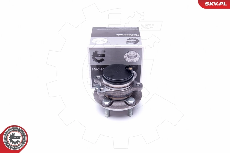 Wheel Bearing Kit